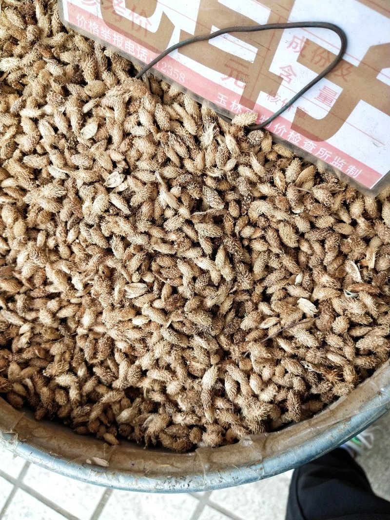 仓耳子一斤起售，量大优惠