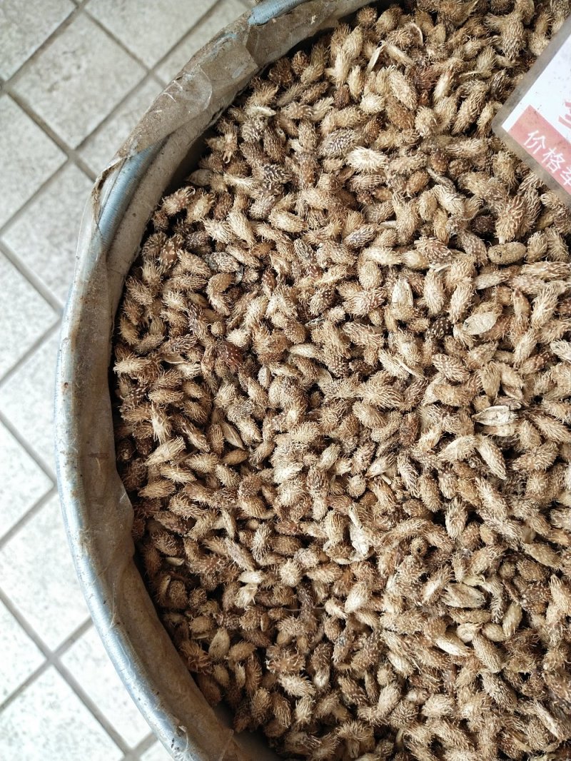 仓耳子一斤起售，量大优惠