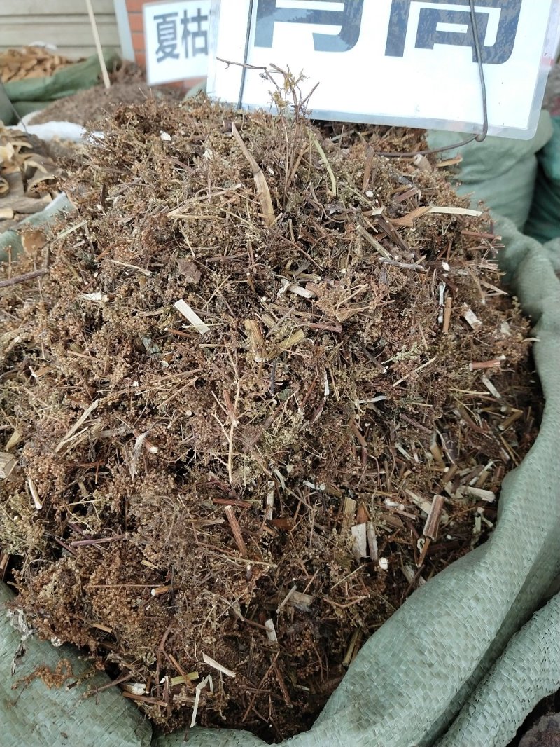 青蒿一斤起售，量大优惠