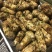 新鲜松茸小金松茸野生松茸