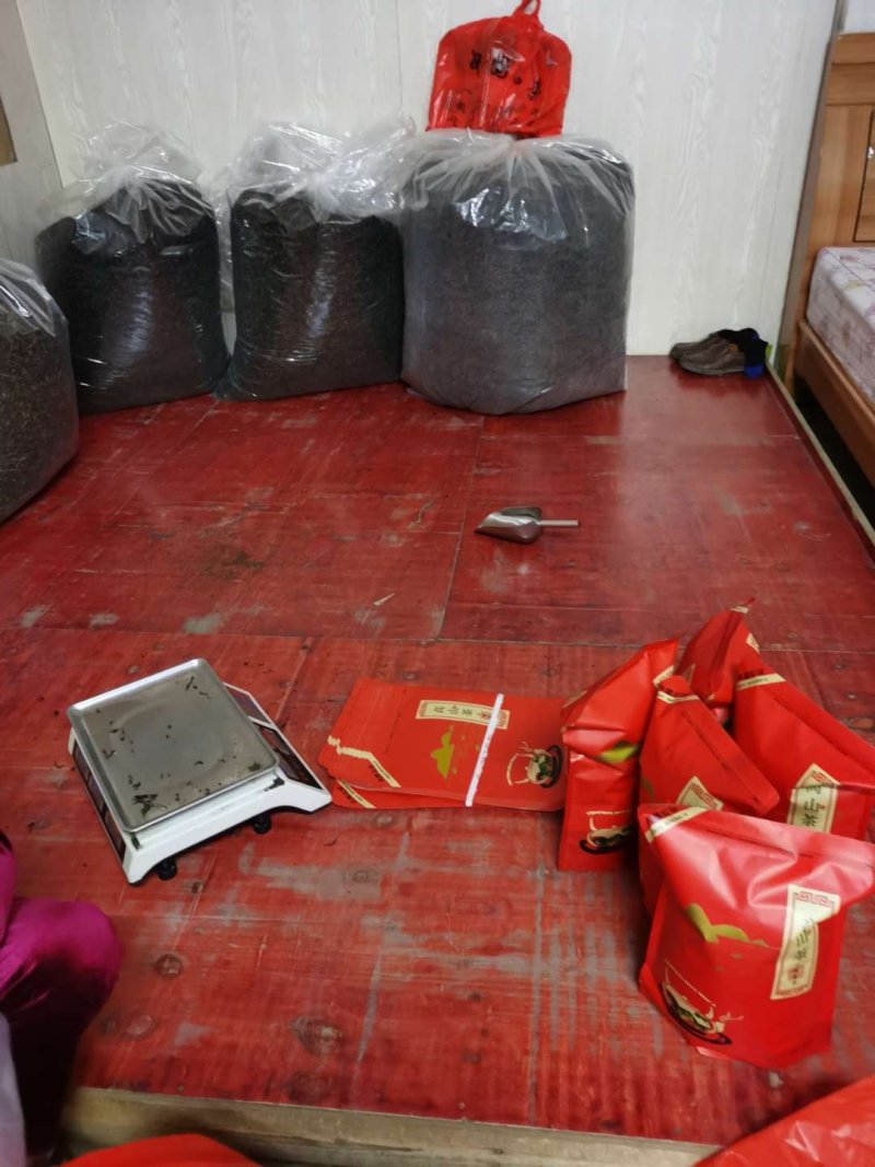 大南山春茶（穗香品种）