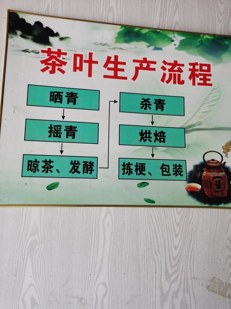 大南山春茶（穗香品种）