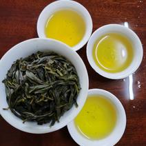 大南山春茶（穗香品种）