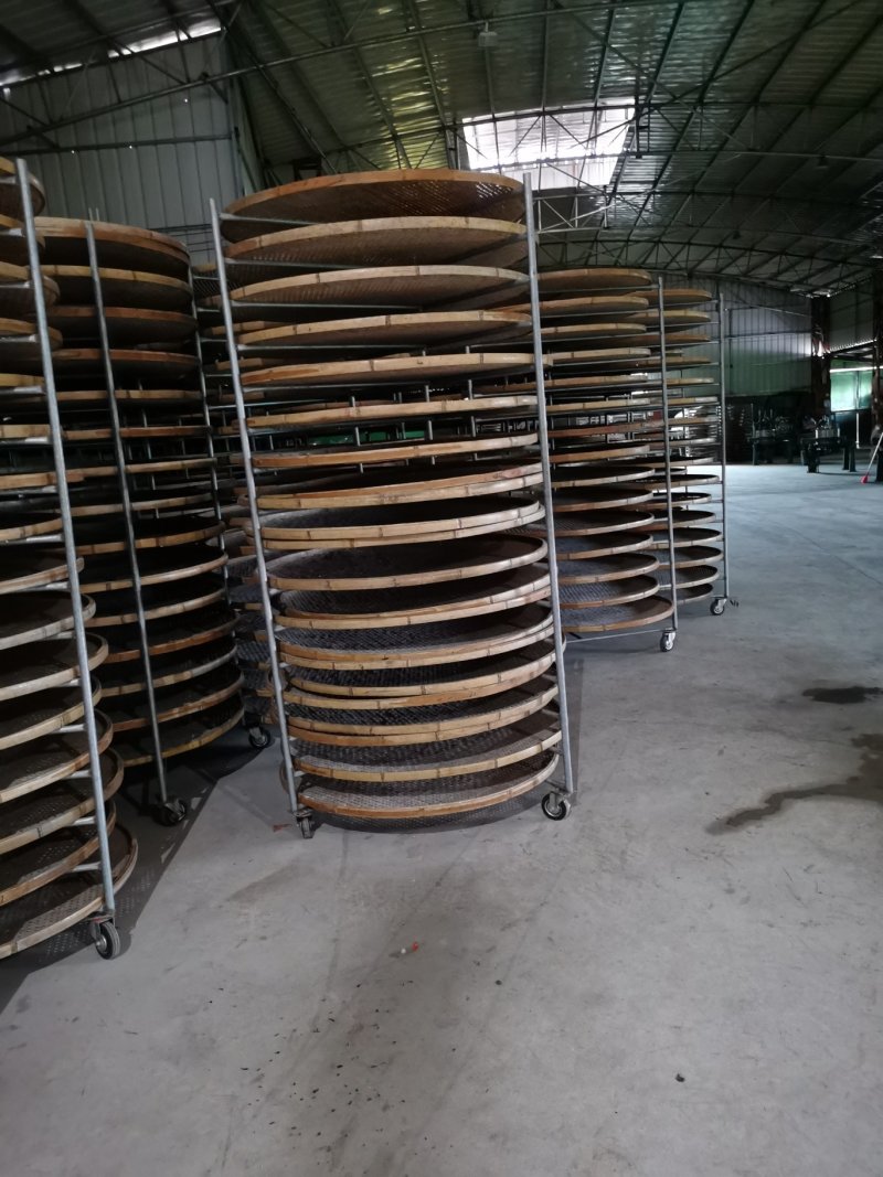 大南山春茶（穗香品种）