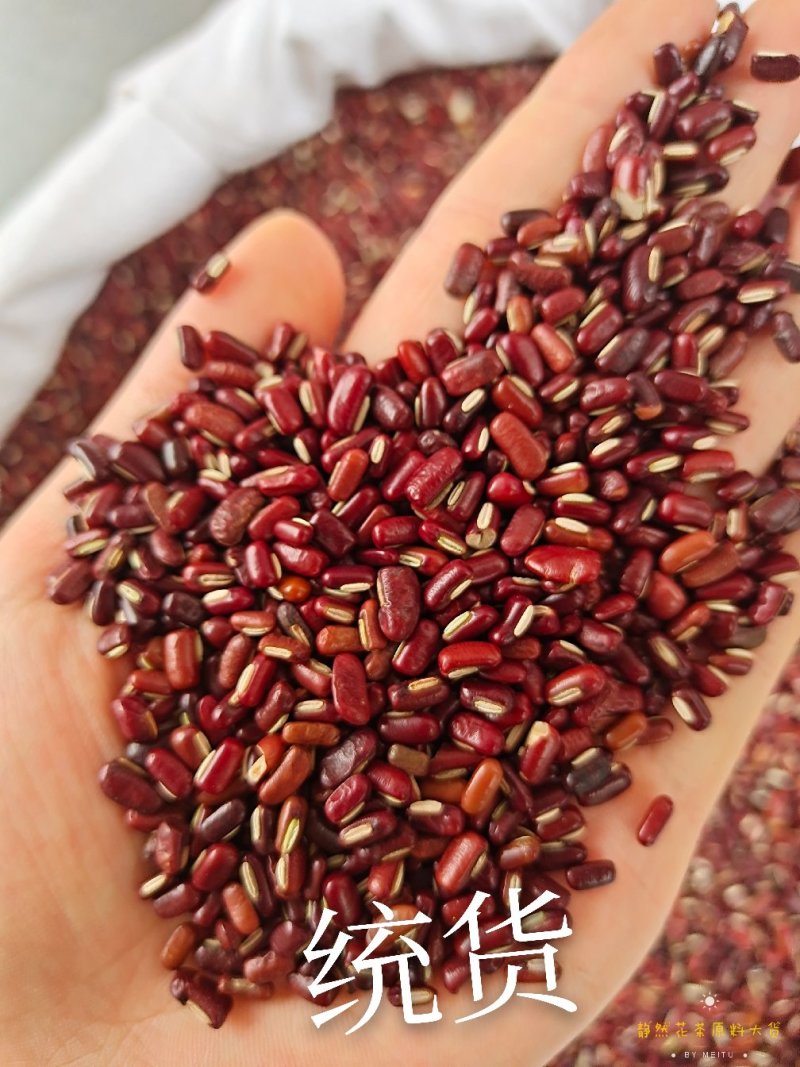 赤小豆红豆大货批发一手货源