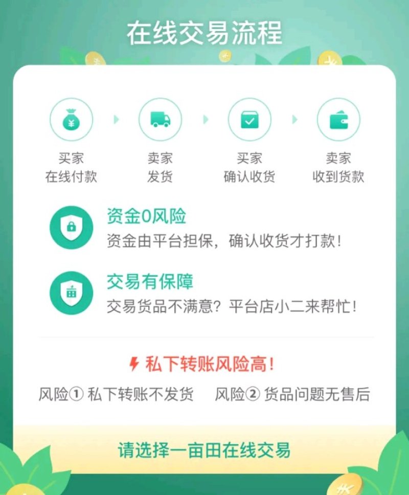 红豆杉盆栽树苗室内外耐寒耐荫绿植南方红豆杉植物吸甲醛四季