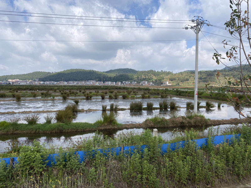 马龙区200亩坑塘出租，价格合理