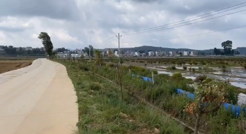 马龙区200亩坑塘出租，价格合理