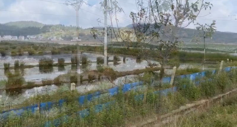 马龙区200亩坑塘出租，价格合理