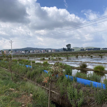 马龙区200亩坑塘出租，价格合理