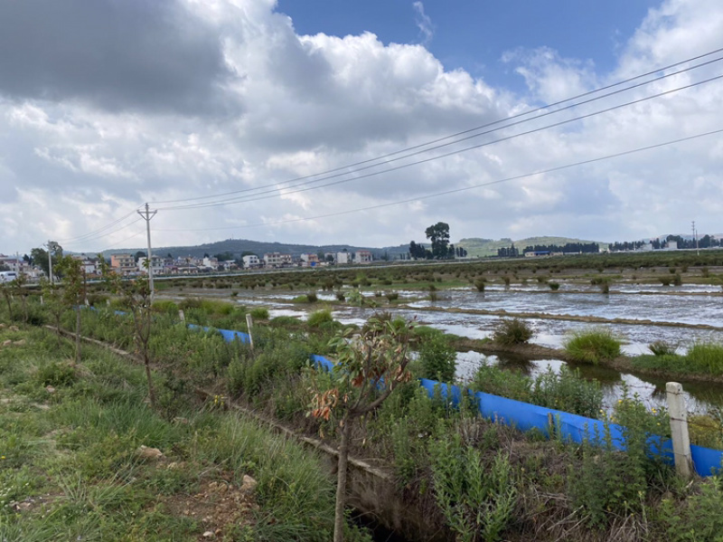 马龙区200亩坑塘出租，价格合理