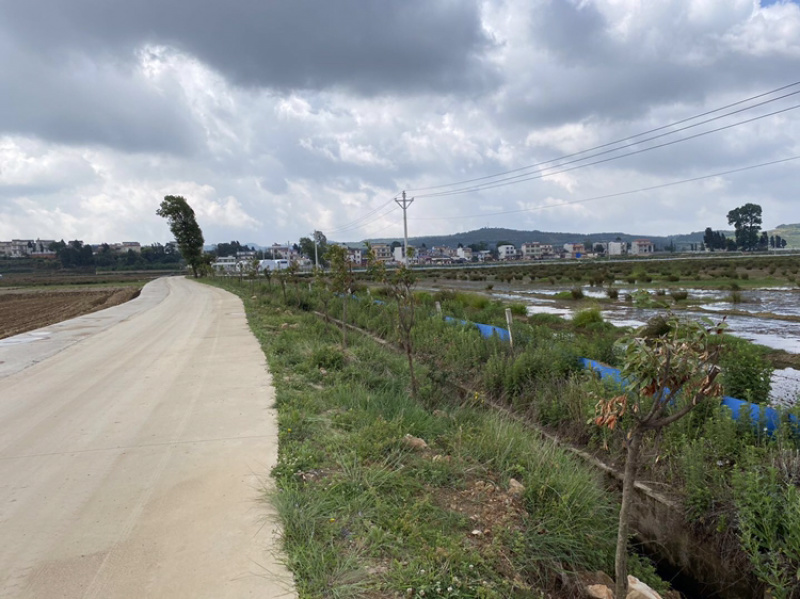马龙区200亩坑塘出租，价格合理