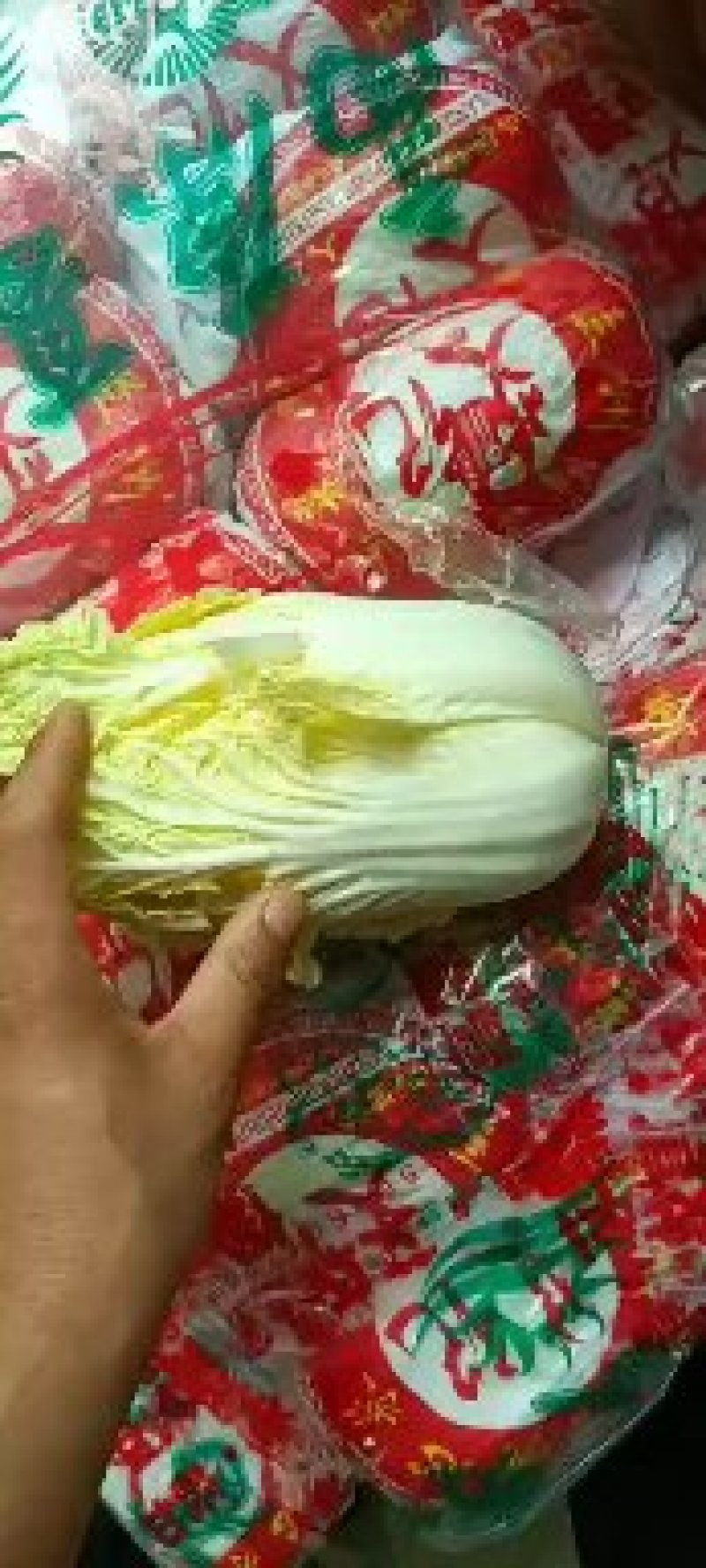 益民精品蔬菜自产自销