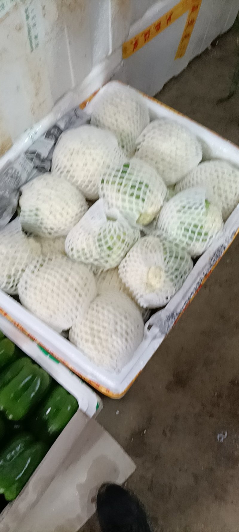 益民精品蔬菜自产自销