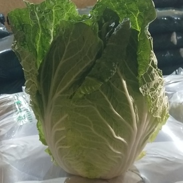 需要联系