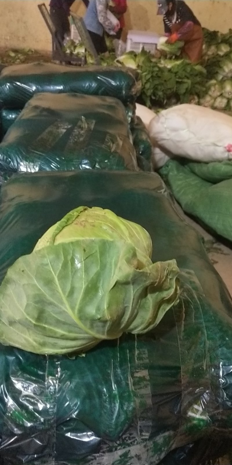 需要联系