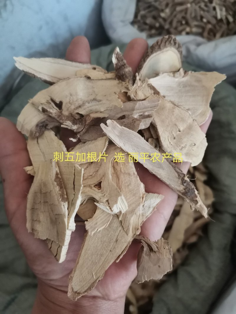 中药材刺五加皮根片东北干品不硫熏实物拍摄包邮