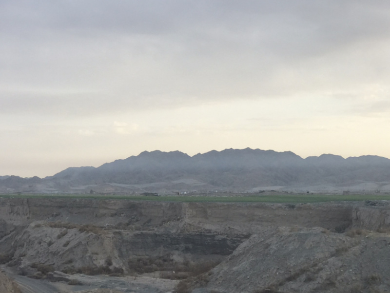 宁夏中卫香山硒砂瓜香山产区货源充足