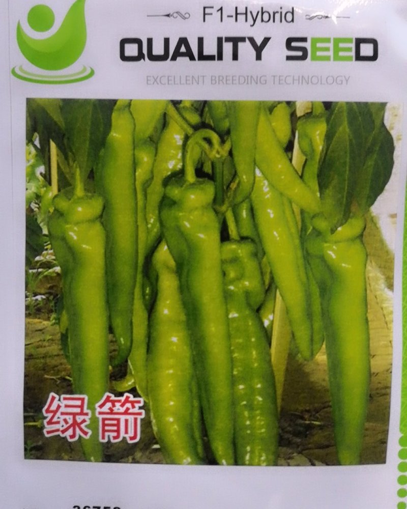 绿箭大果尖椒羊角椒种子黄皮尖椒高产大果
