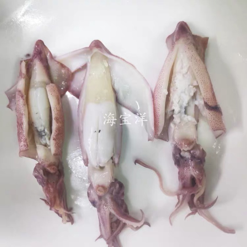 新鲜熟冻带籽膏尤带糕笔管海兔糕鱿鱼净重约6斤/件