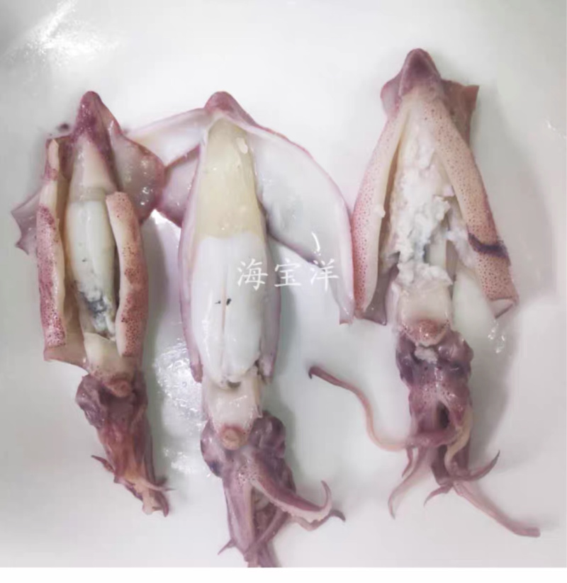 新鲜熟冻带籽膏尤带糕笔管海兔糕鱿鱼净重约6斤/件