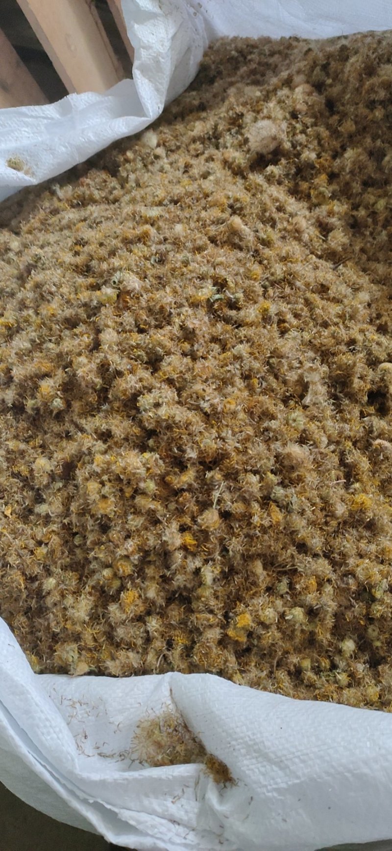 旋覆花各种规格产地直供地道药材