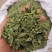 罗布麻叶河北药用泡水干净无杂一公斤起