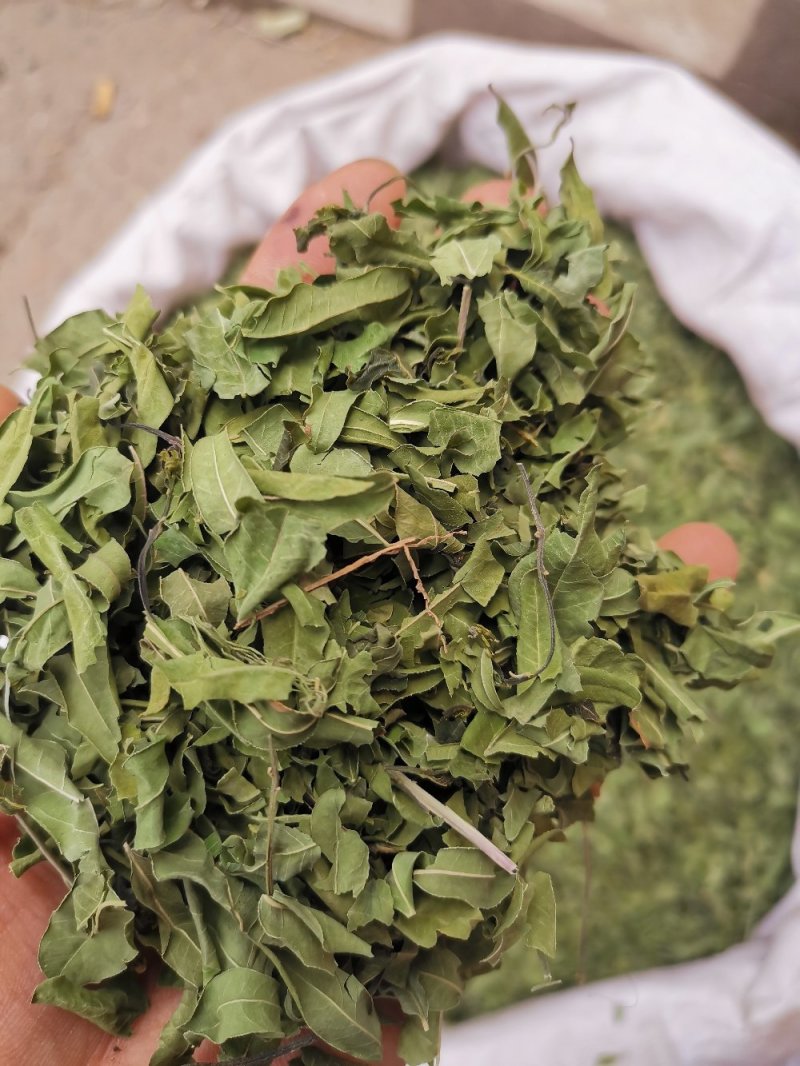 罗布麻叶河北药用泡水干净无杂一公斤起
