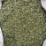 罗布麻叶河北药用泡水干净无杂一公斤起