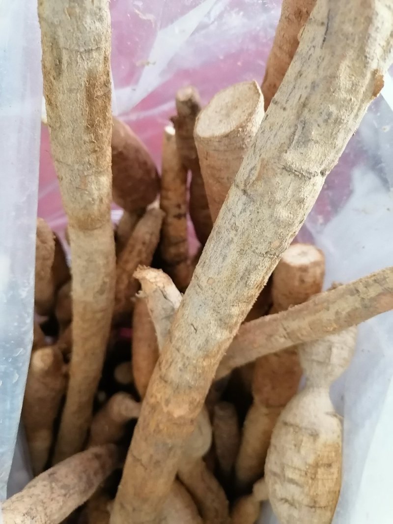 牛大力鲜货，新鲜干净，产地直销