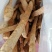 牛大力鲜货，新鲜干净，产地直销