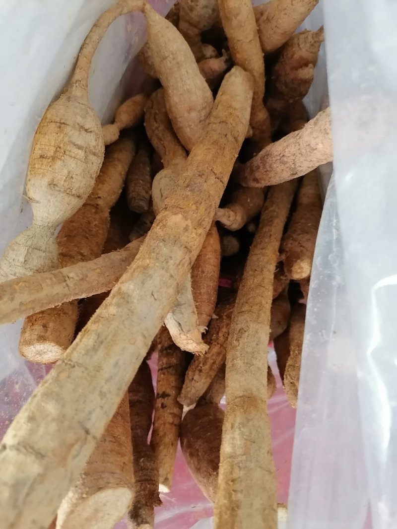 牛大力鲜货，新鲜干净，产地直销