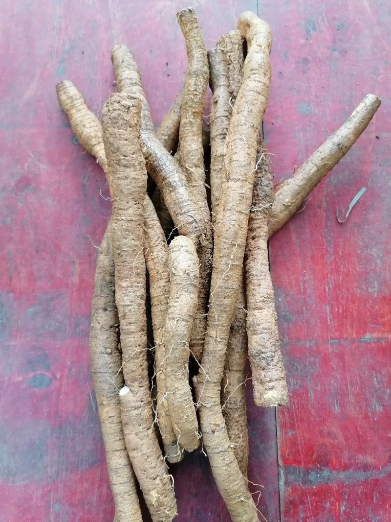 牛大力鲜货，新鲜干净，产地直销