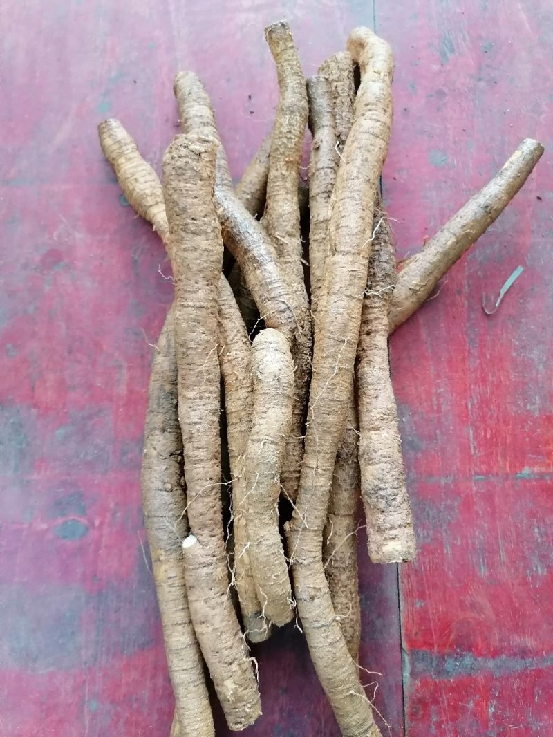 牛大力鲜货，新鲜干净，产地直销
