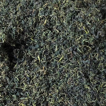 蒲公英茶【包邮】三斤起发货可批量可零售量大从优
