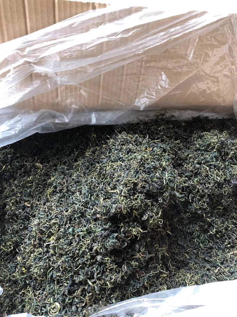 蒲公英茶【包邮】三斤起发货可批量可零售量大从优