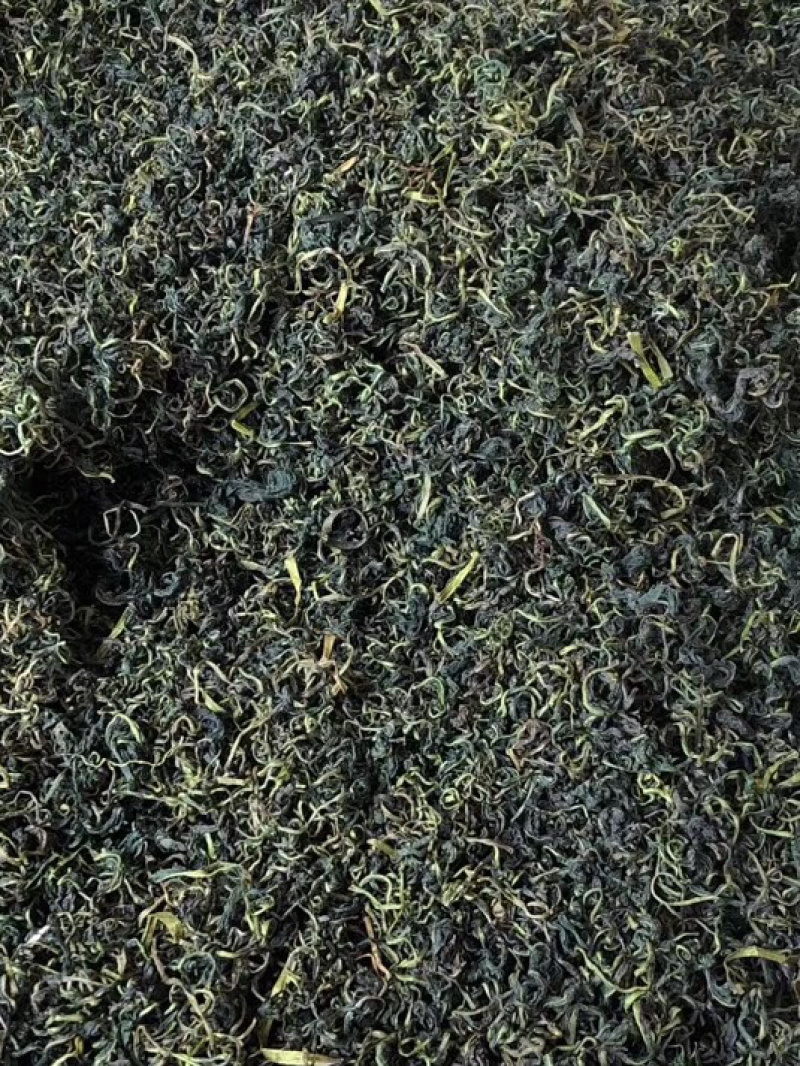 蒲公英茶【包邮】三斤起发货可批量可零售量大从优