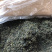 蒲公英茶【包邮】三斤起发货可批量可零售量大从优