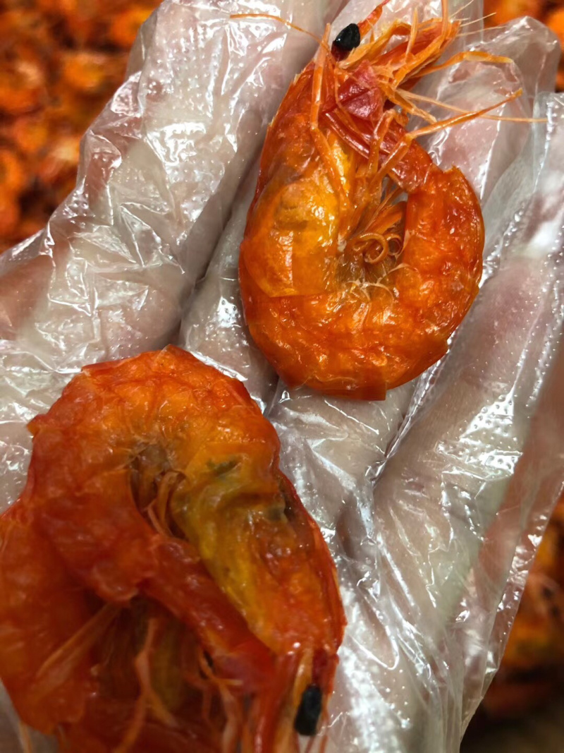 斑节红软虾！市面上难找的货🎉🎉🎉