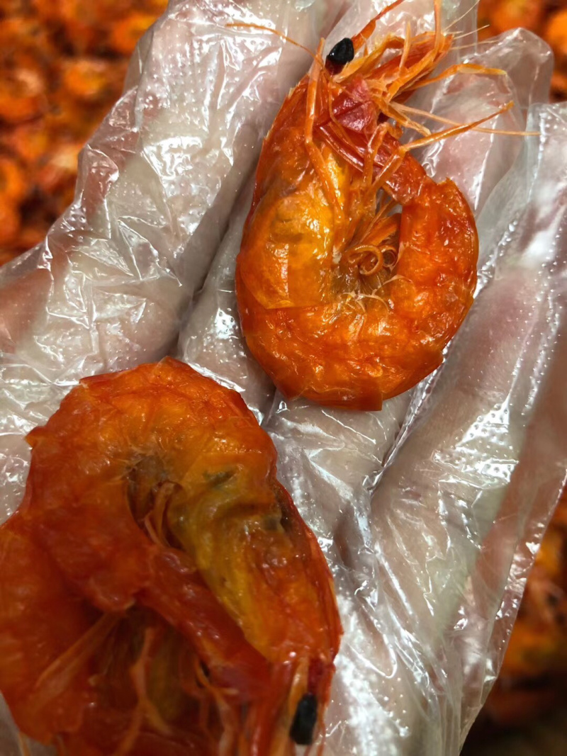 斑节红软虾！市面上难找的货🎉🎉🎉
