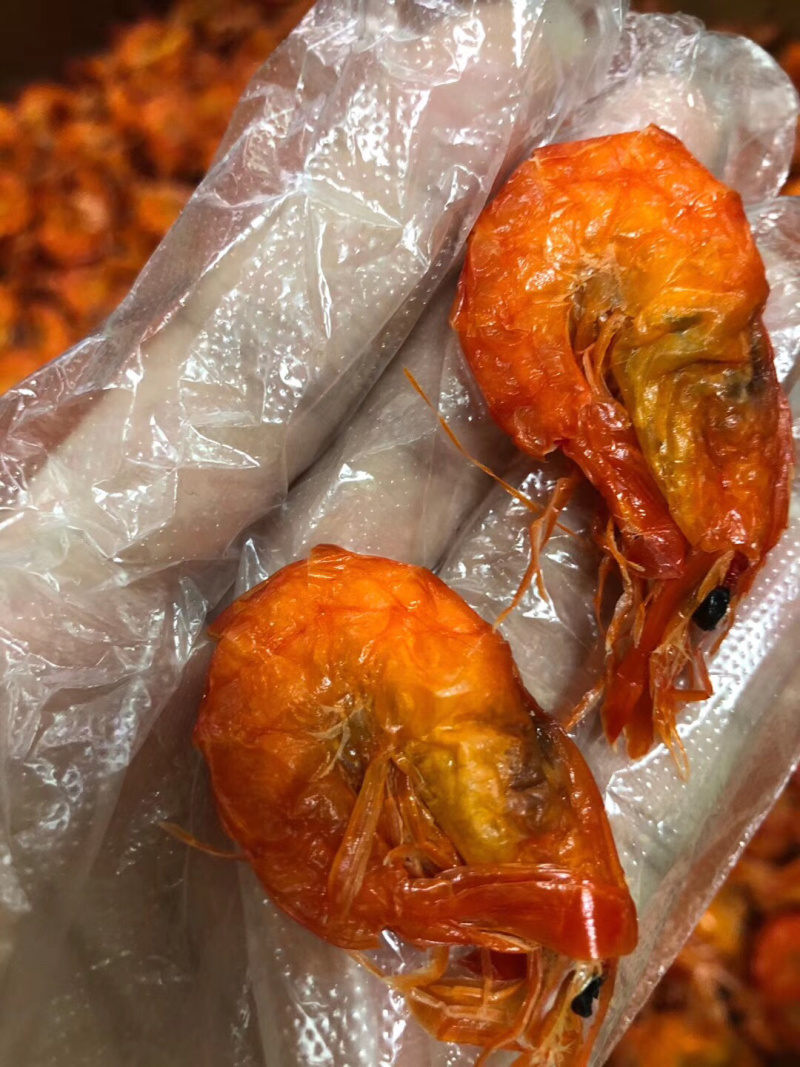 斑节红软虾！市面上难找的货🎉🎉🎉