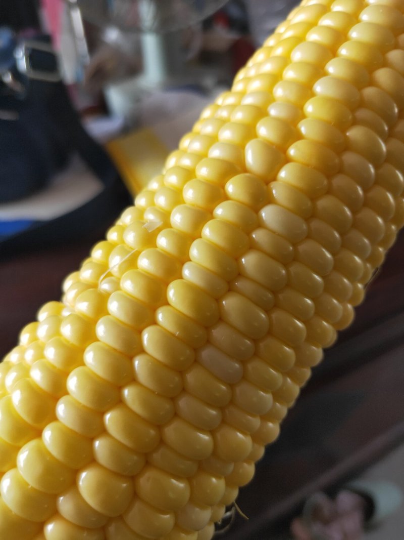 精品玉米通物玉米现摘现发，口感新鲜软糯香甜佳品