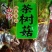 茶树菇