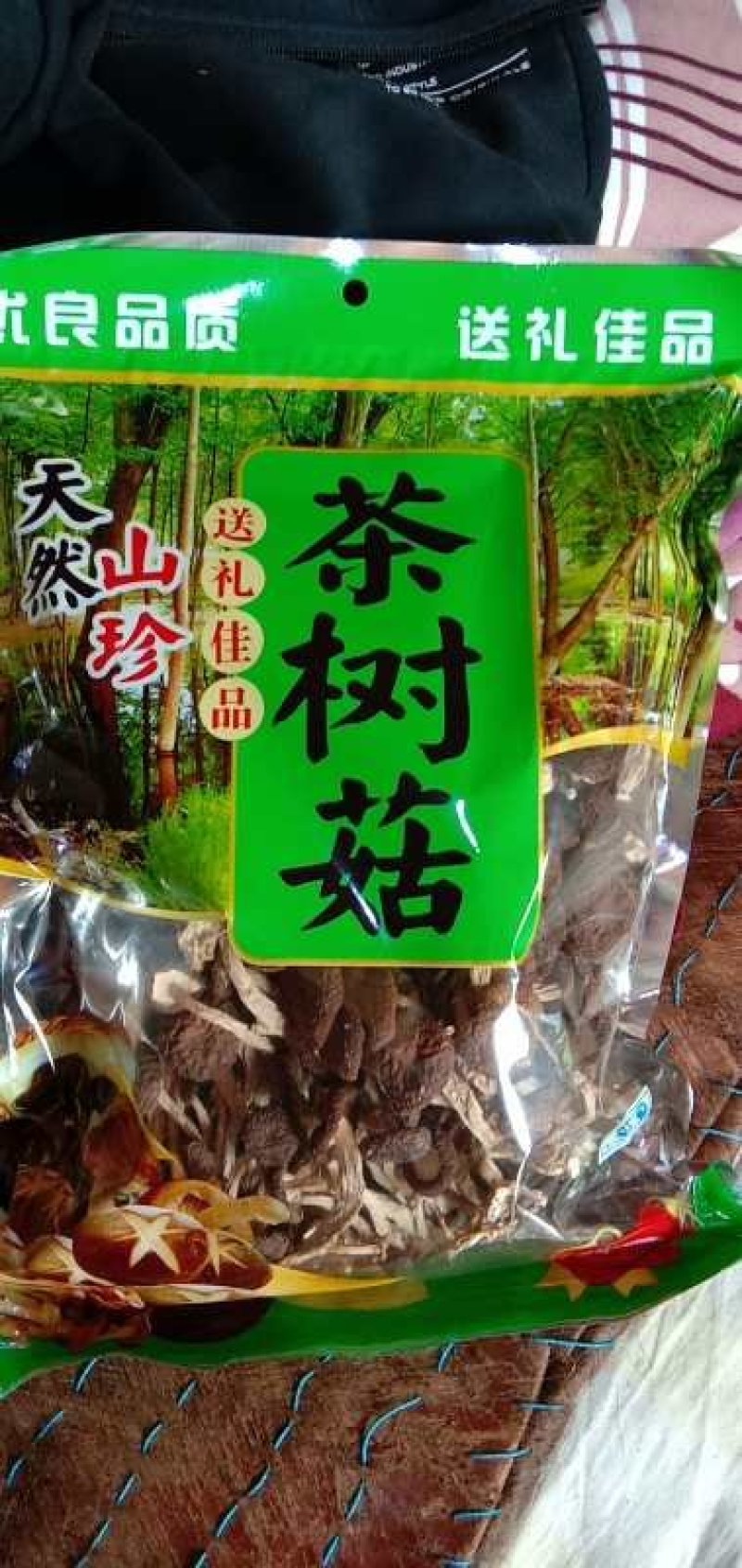 茶树菇