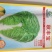 秋丰宝白菜种子抗病丰产可延迟收获的秋冬晚熟品种