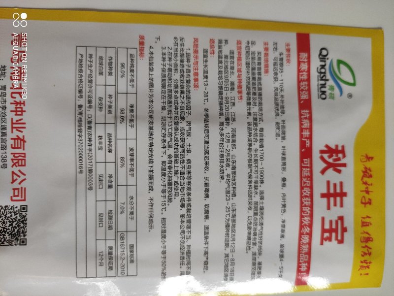 秋丰宝白菜种子抗病丰产可延迟收获的秋冬晚熟品种