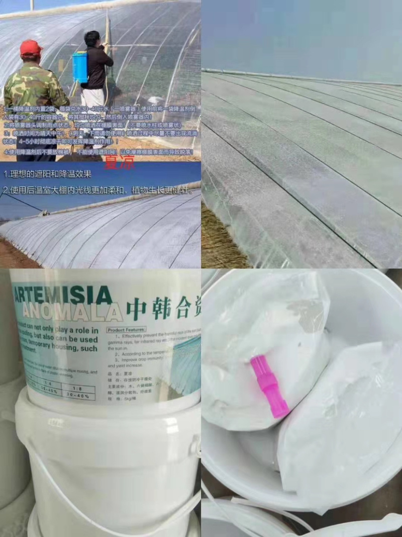 大棚降温剂蔬菜大棚降温剂立凉牌降温剂
