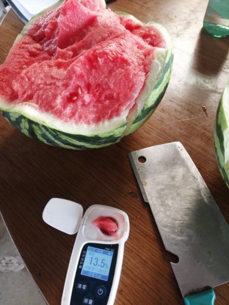无籽麒麟美都西瓜个大瓜甜糖分13以上大红颤皮薄脆甜质量保障