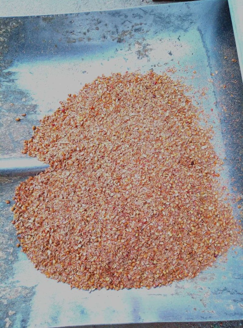 厂家批发高粱糠现货供应货源充足牛羊好饲料精选优质