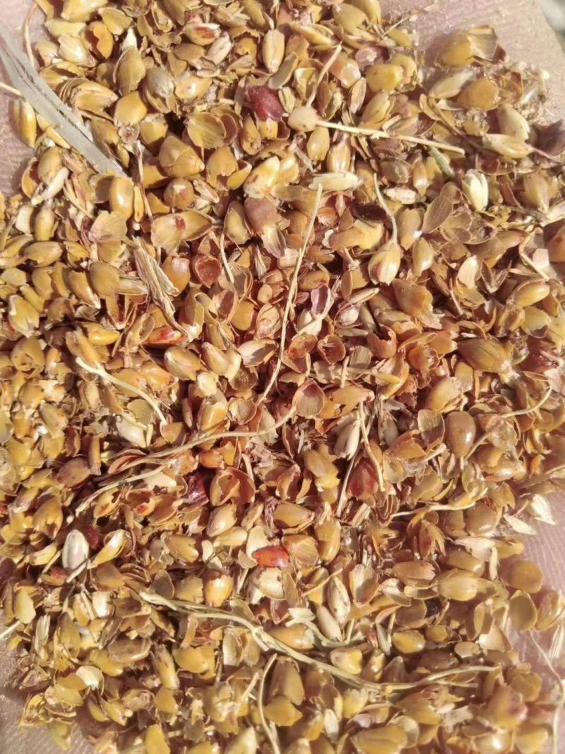 厂家批发高粱糠现货供应货源充足牛羊好饲料精选优质